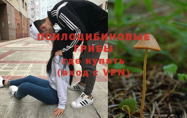 круглые Абаза