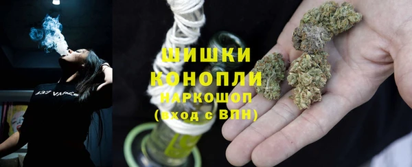 крисы Снежногорск