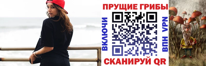 Галлюциногенные грибы прущие грибы Костомукша
